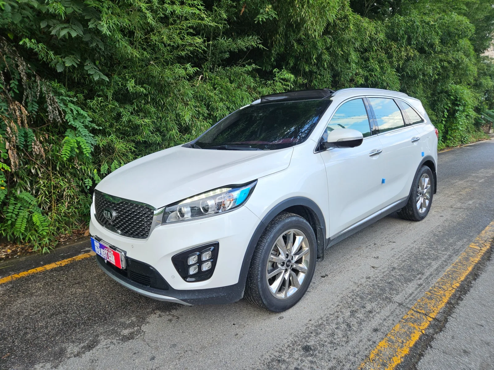 2017 Kia Sorento