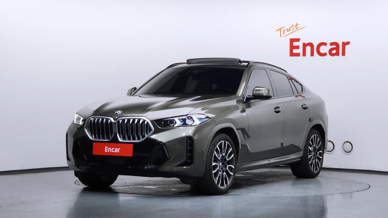 2024 BMW X6