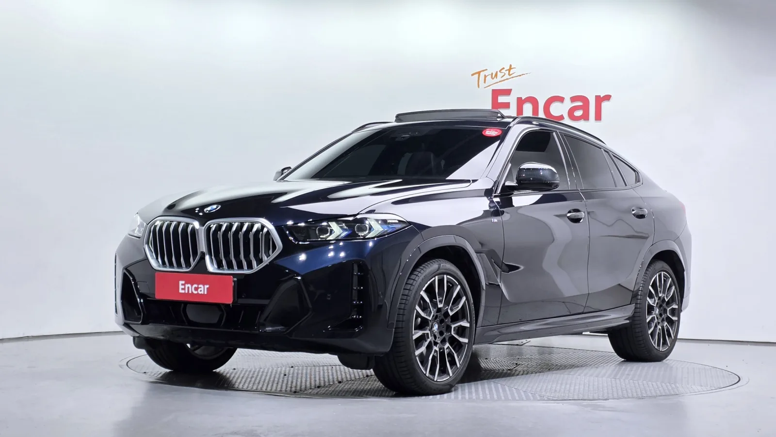 2025 BMW X6