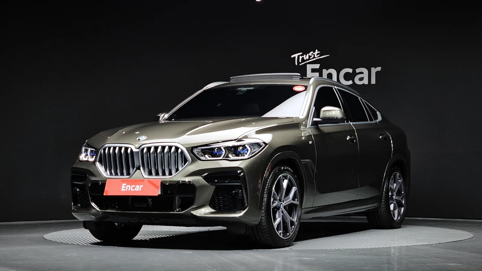 2023 BMW X6