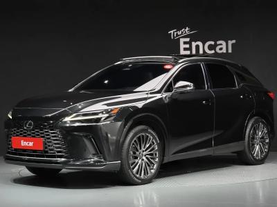2024 Lexus RX