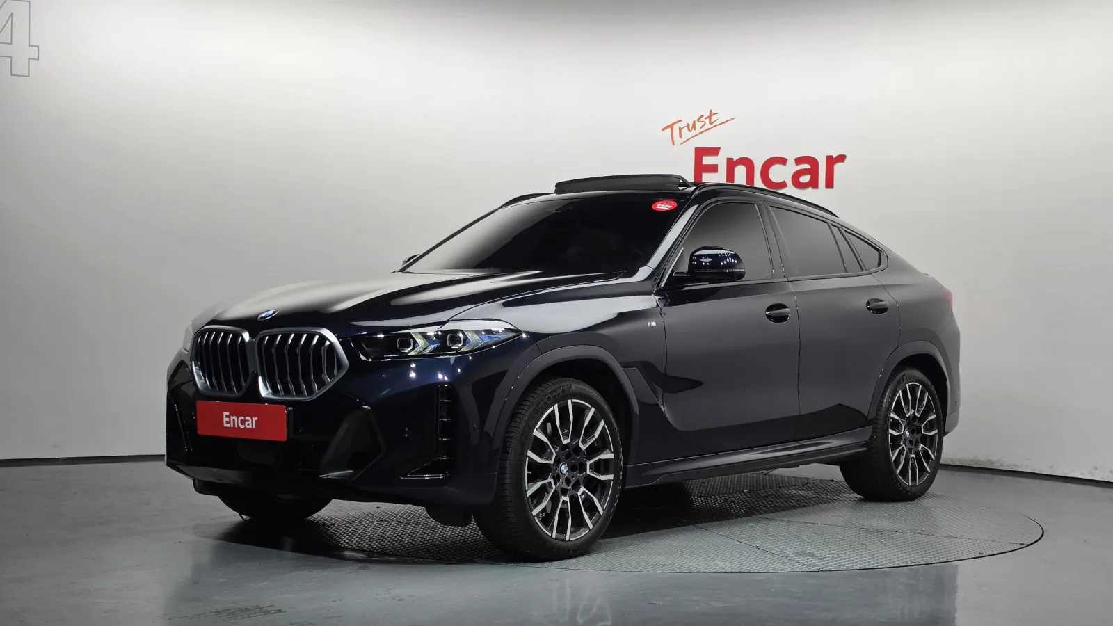 2024 BMW X6
