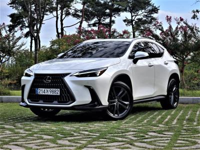 2025 Lexus NX