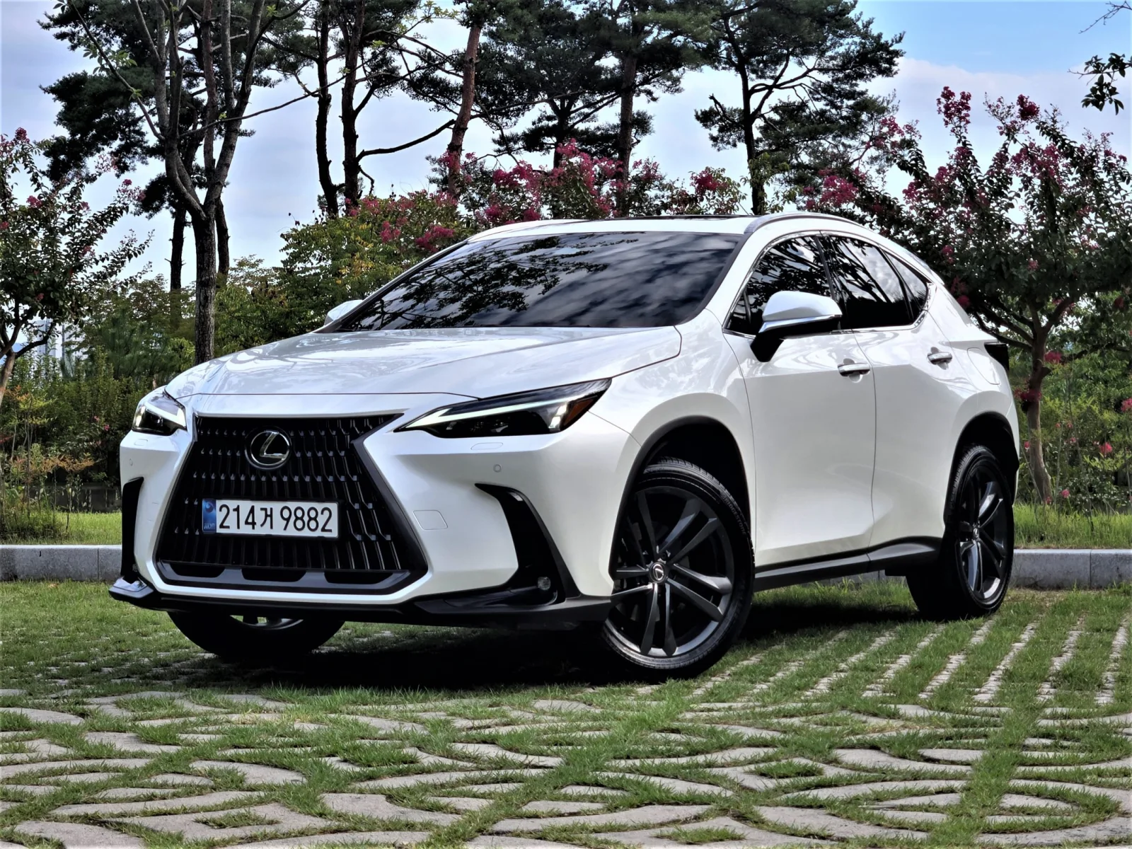 2025 Lexus NX