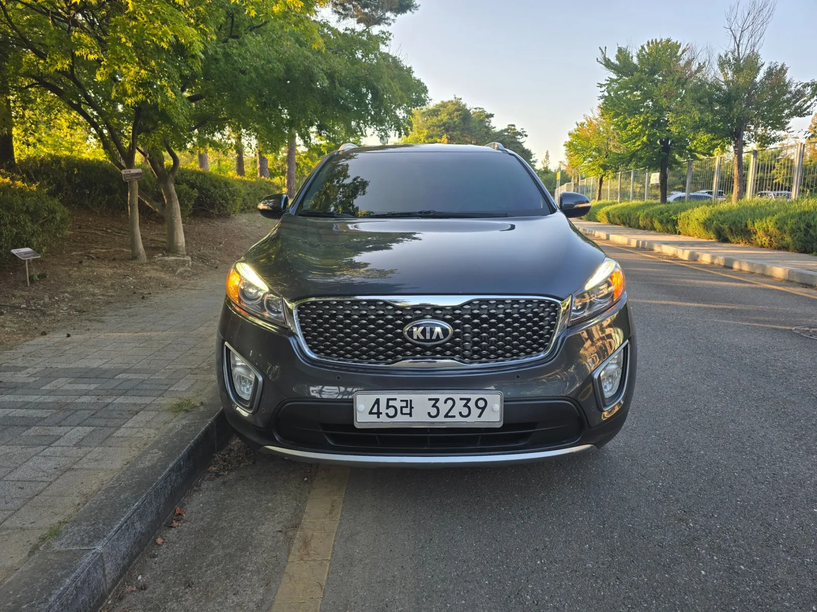 2015 Kia Sorento