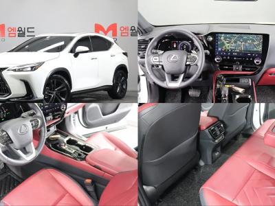 2025 Lexus NX