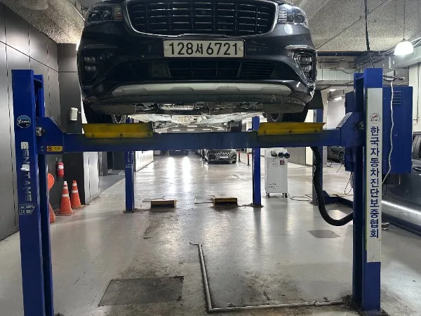 2019 Kia Carnival