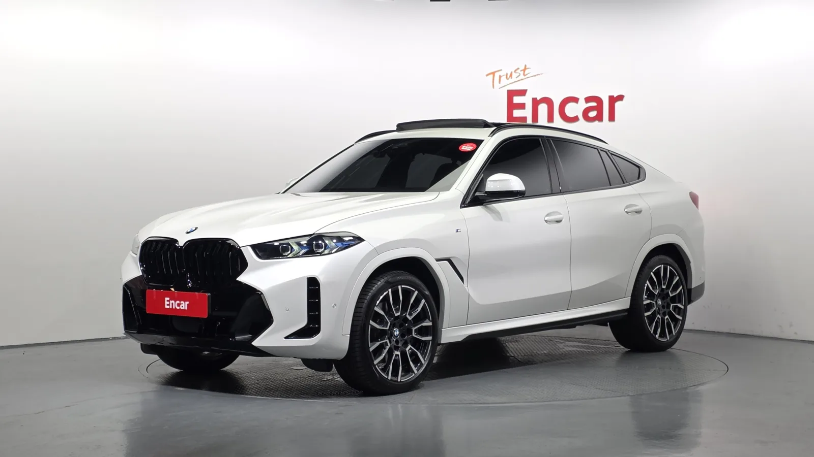 2024 BMW X6