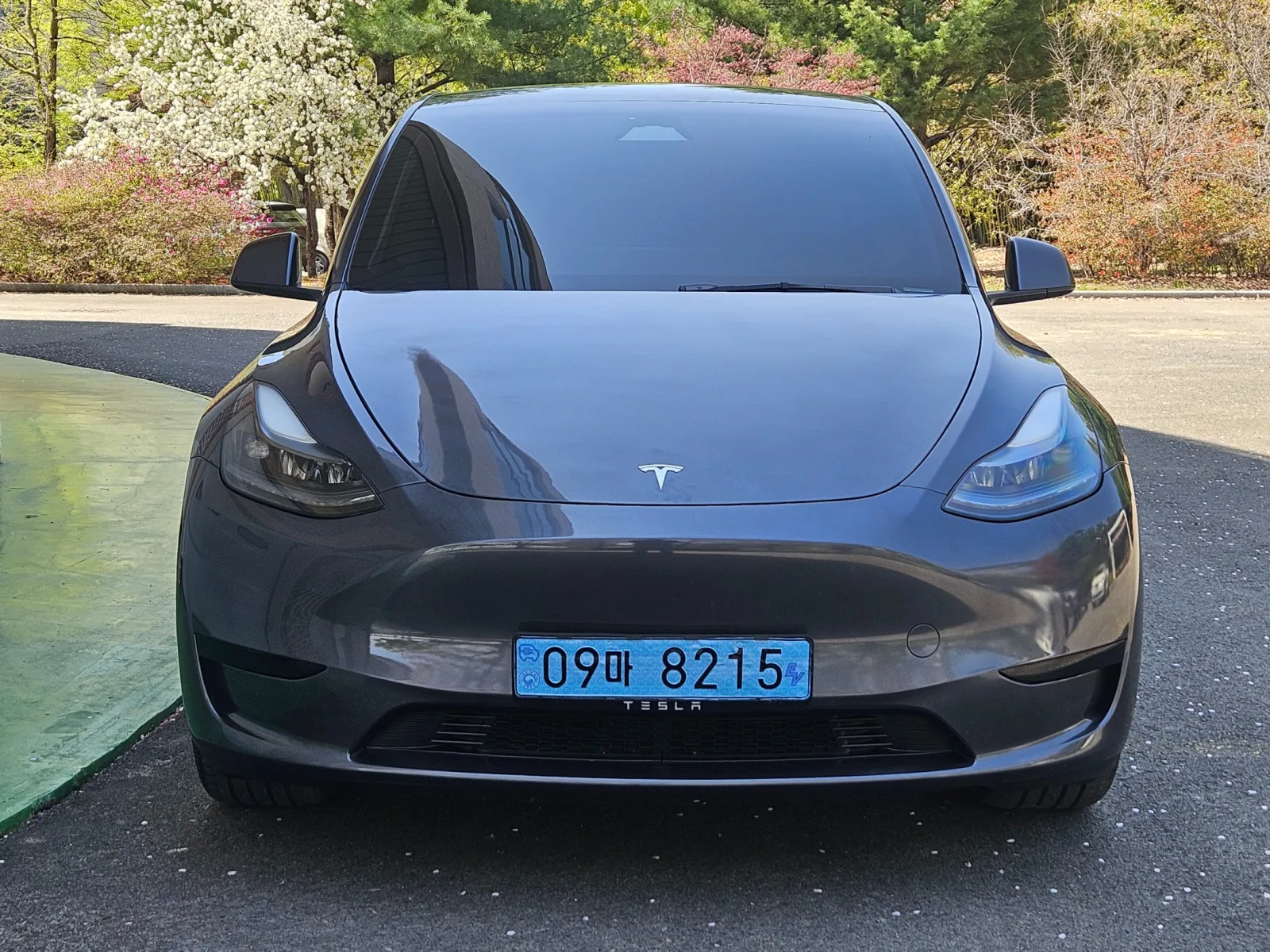 2025 Tesla Model Y