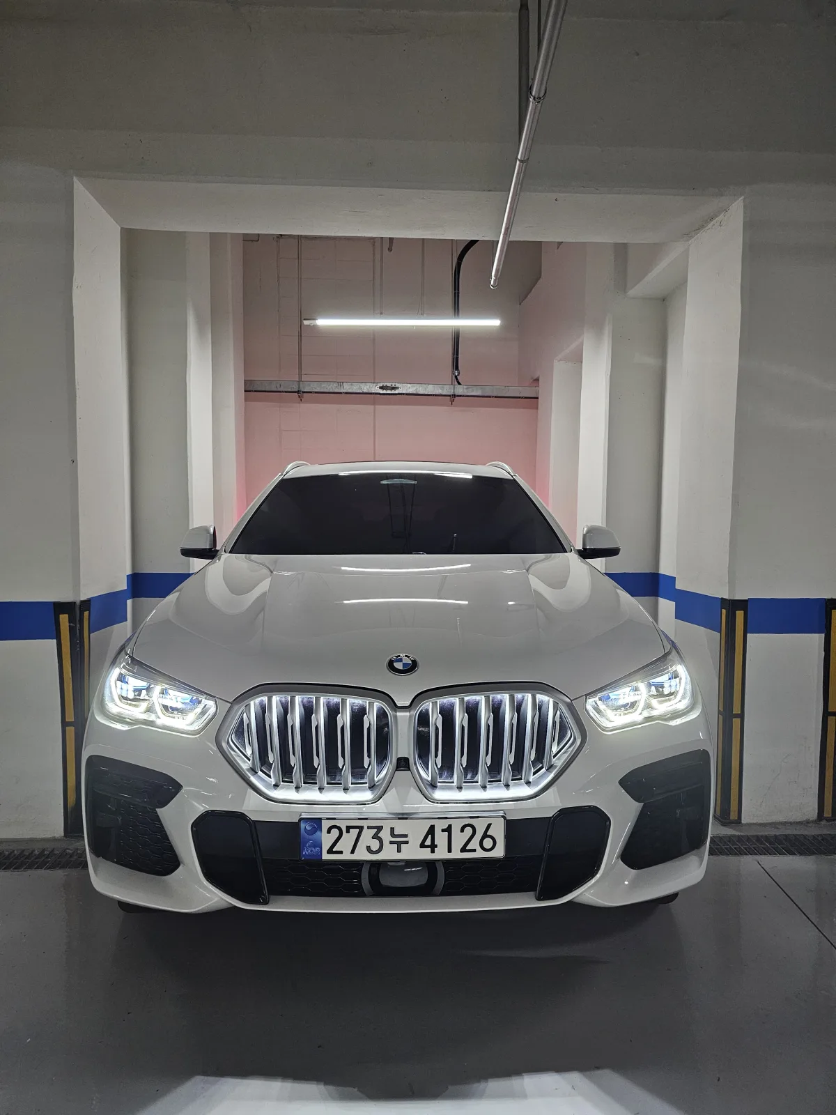 2023 BMW X6