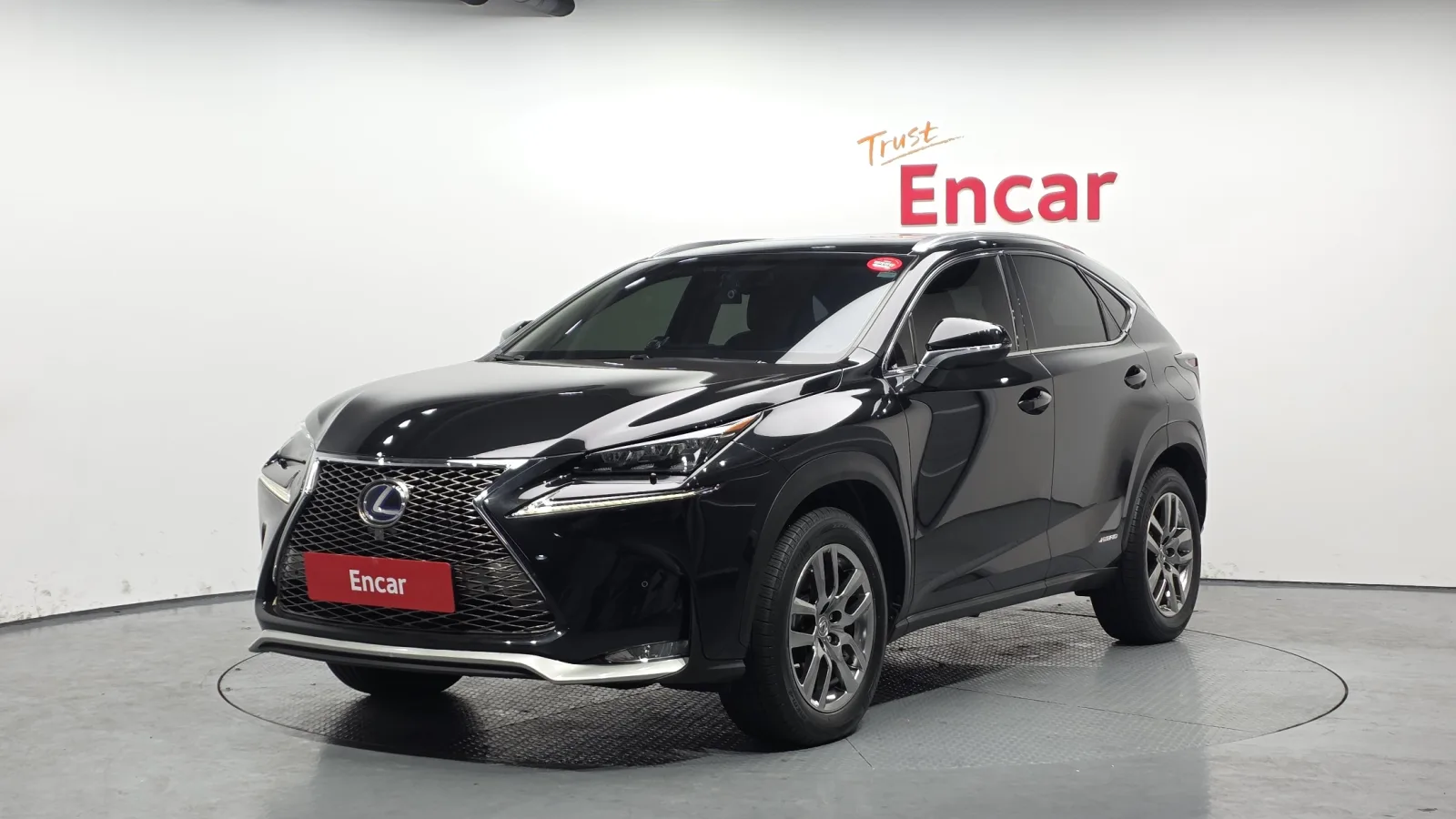 2017 Lexus NX
