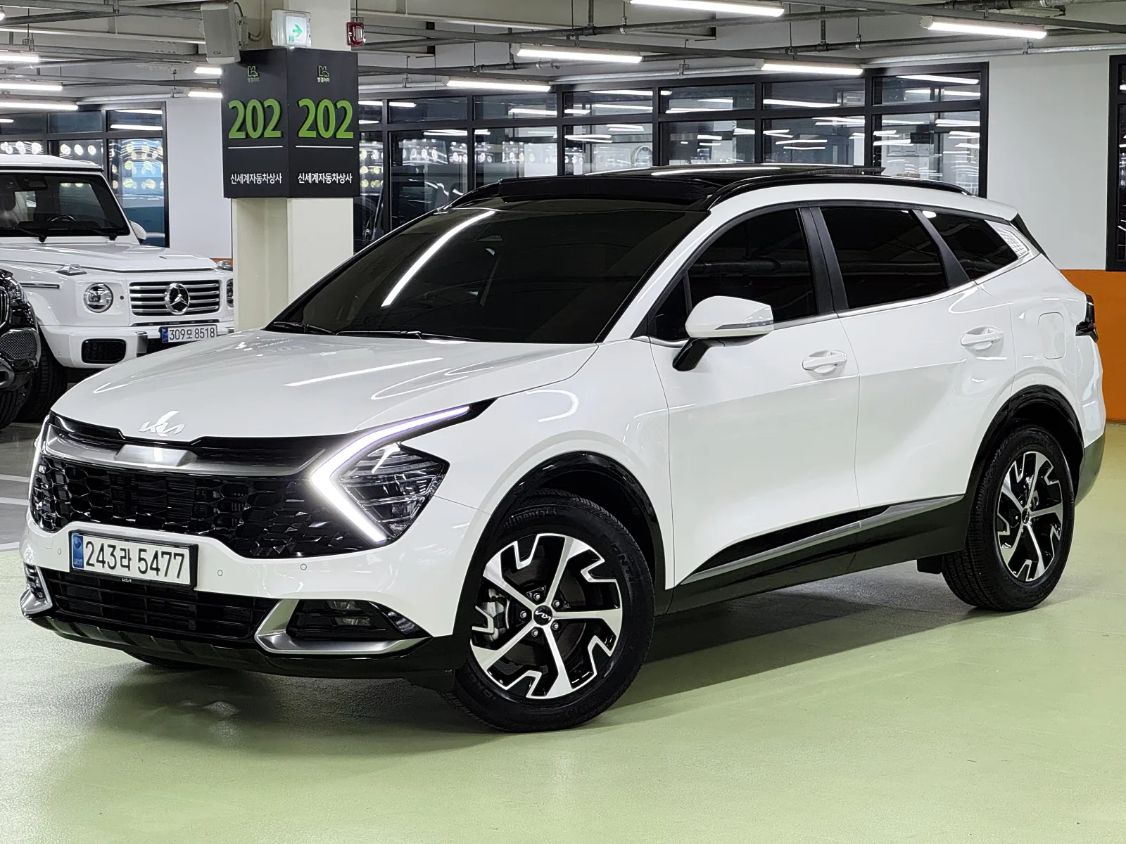 2024 Kia Sportage