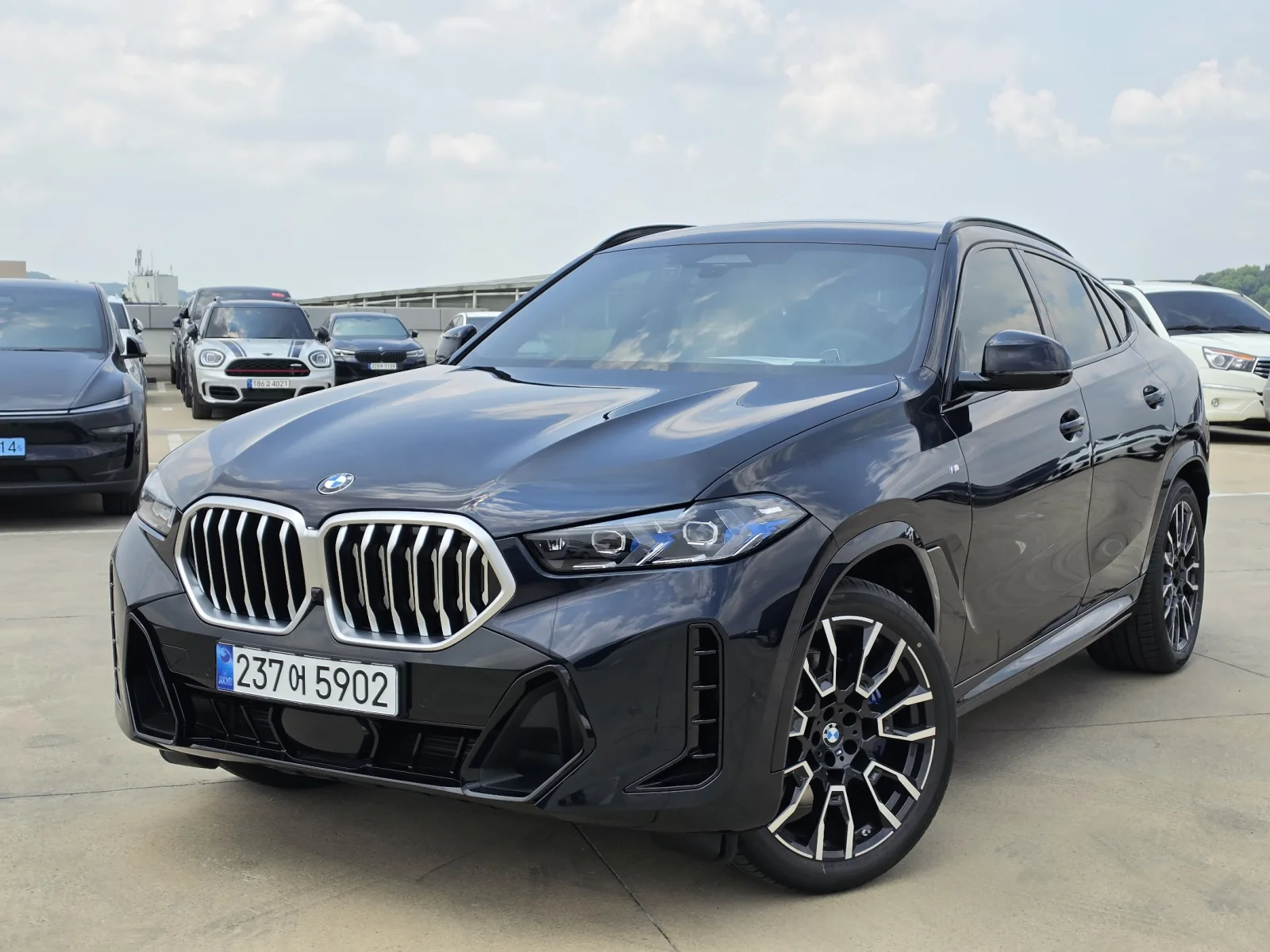 2026 BMW X6