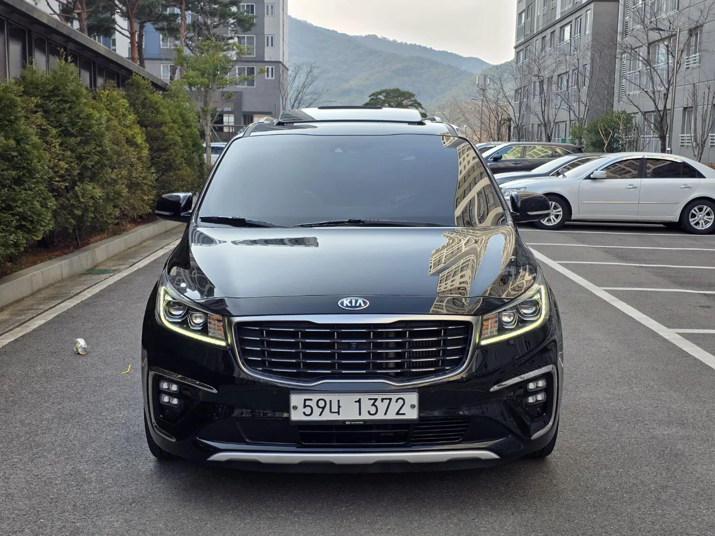 2019 Kia Carnival