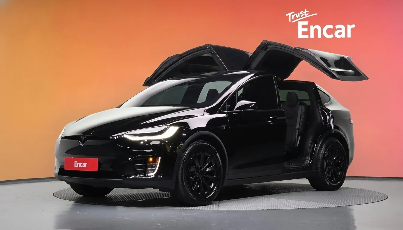 Tesla Model X 2019
