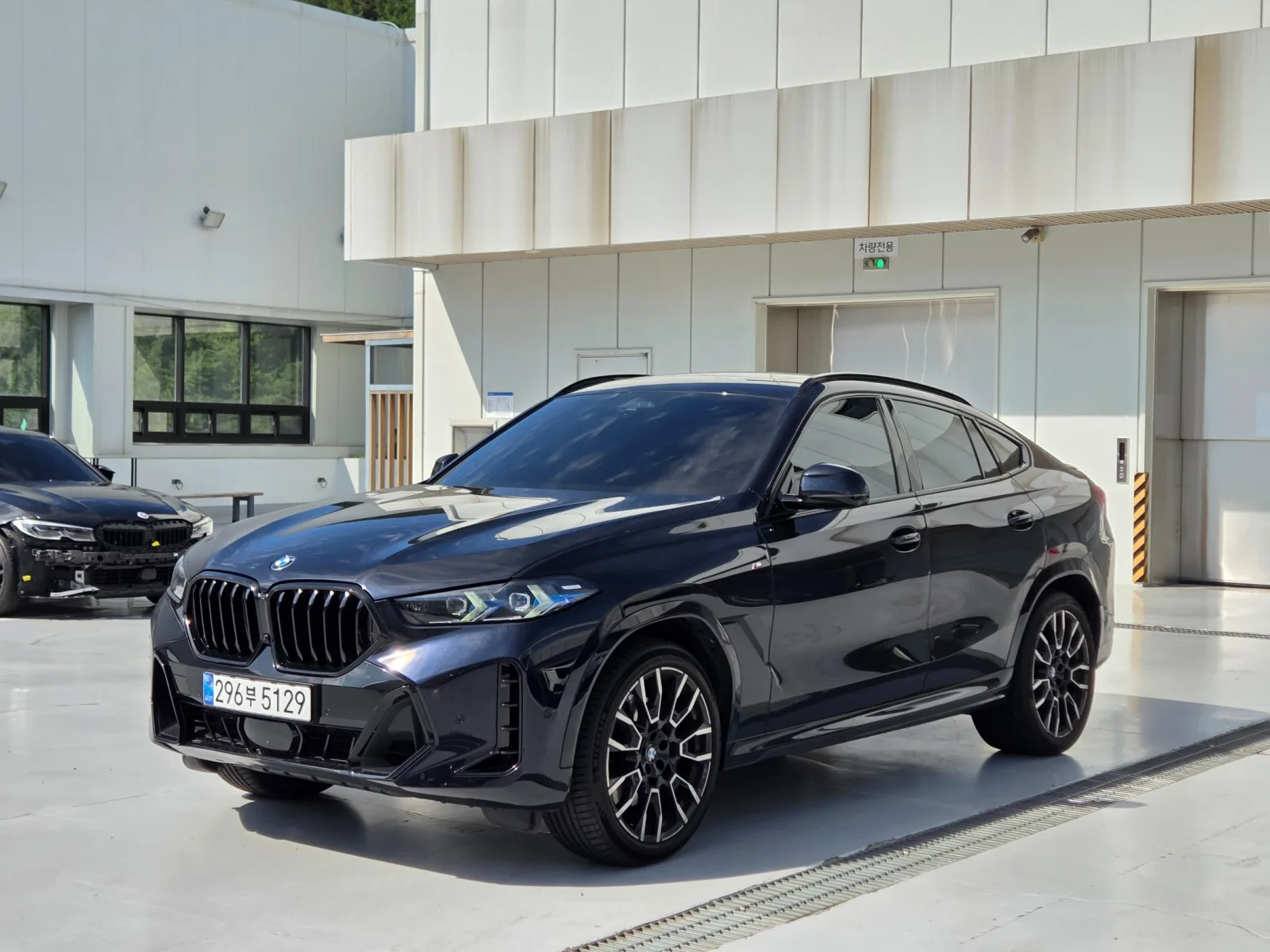 2025 BMW X6
