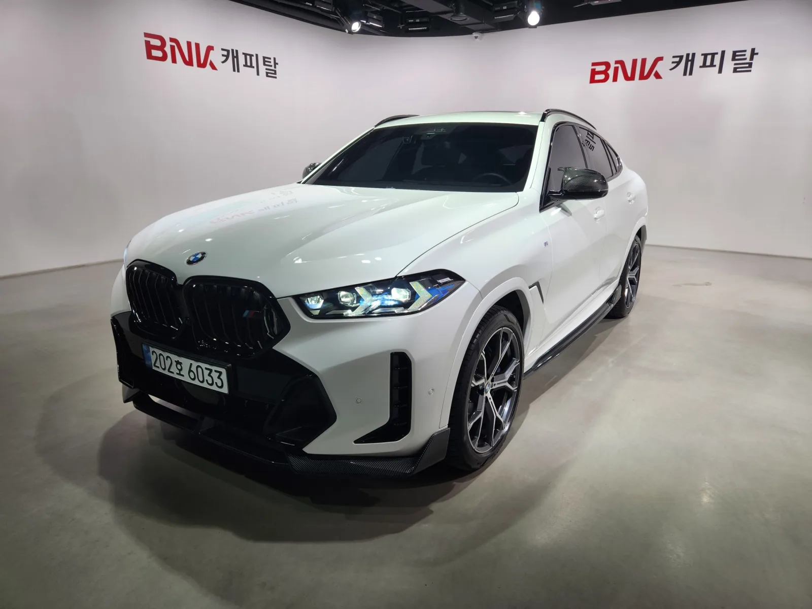 2024 BMW X6