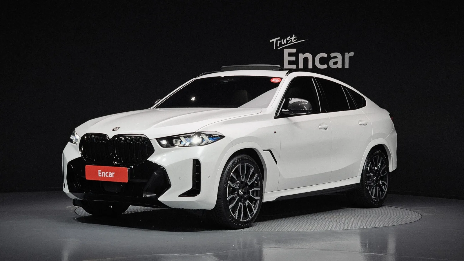 2024 BMW X6