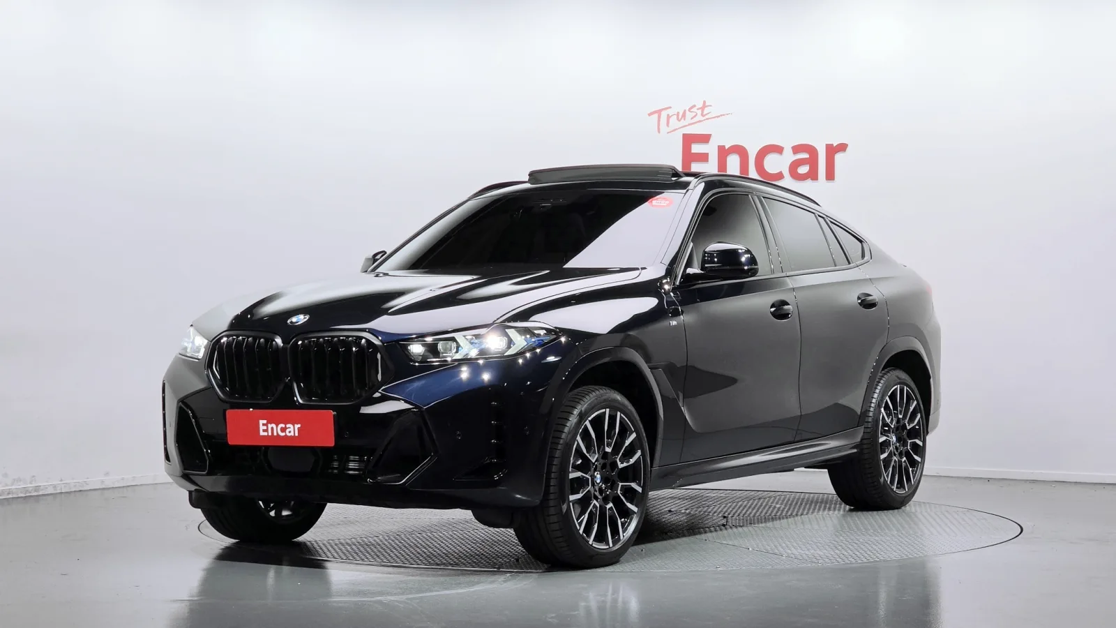 2025 BMW X6