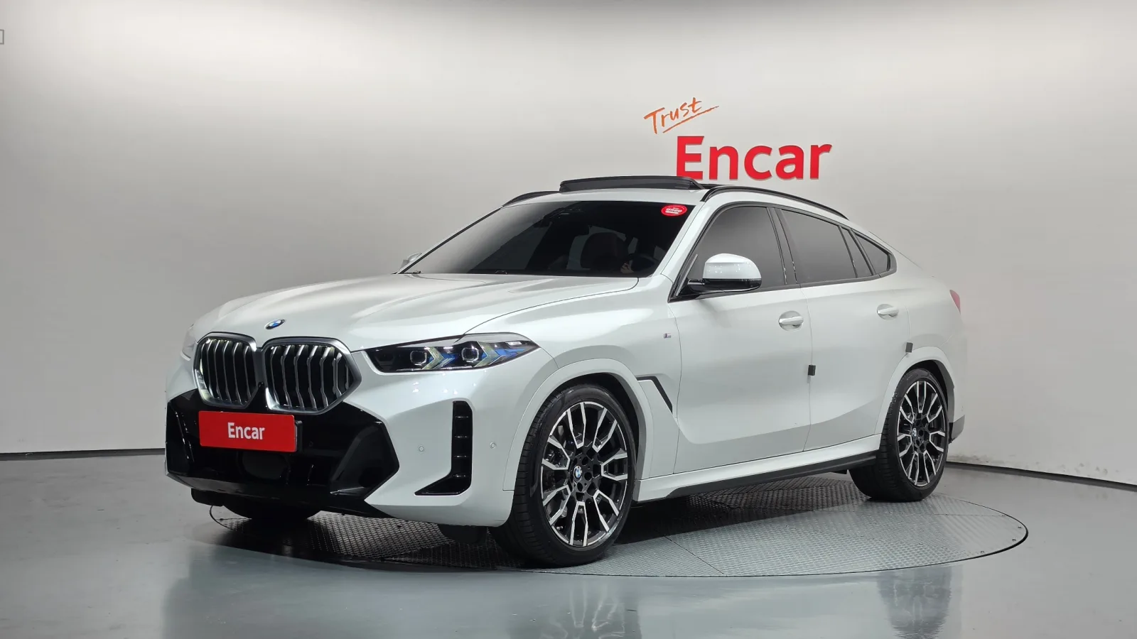 2024 BMW X6