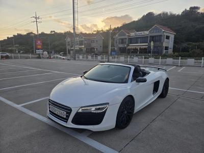 2013 Audi R8