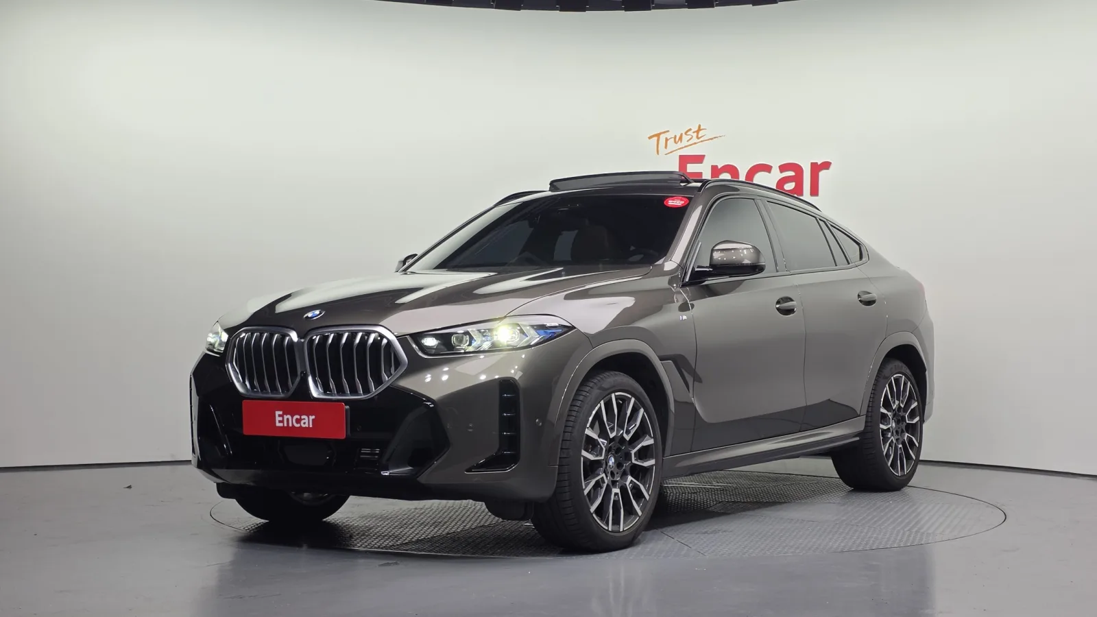 2024 BMW X6