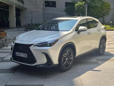 2025 Lexus NX
