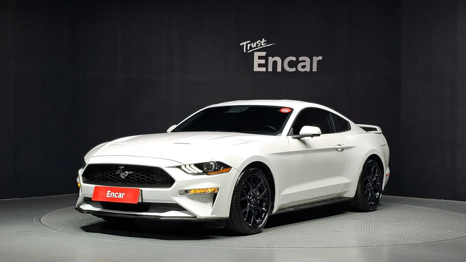 2019 Ford Mustang