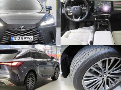 2024 Lexus RX
