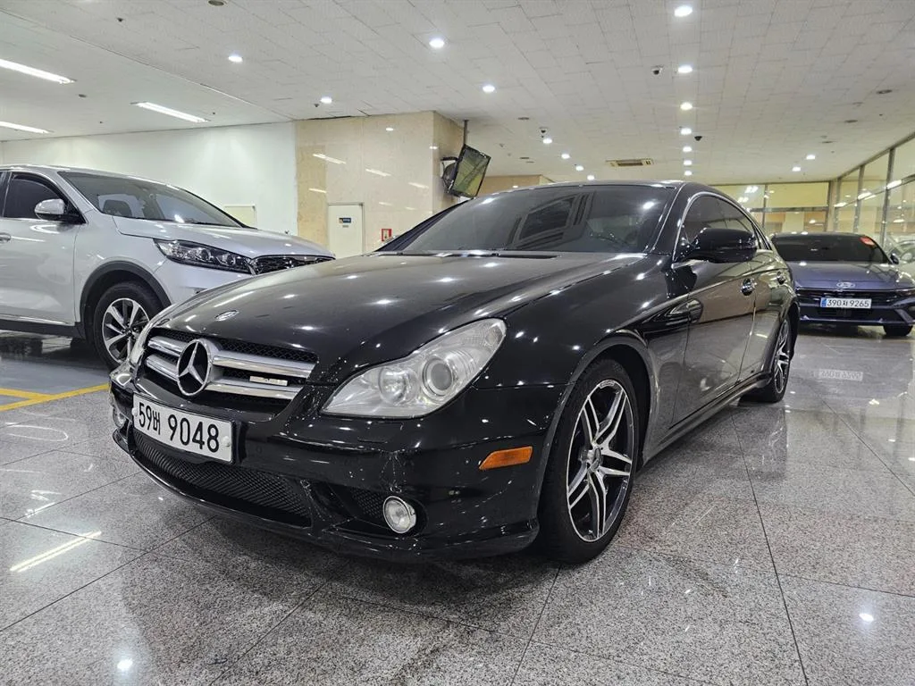 2010 Mercedes-Benz CLS-Class