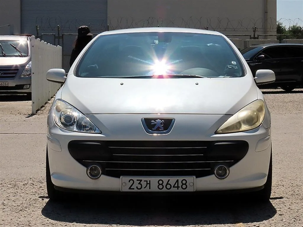 2007 Peugeot 307