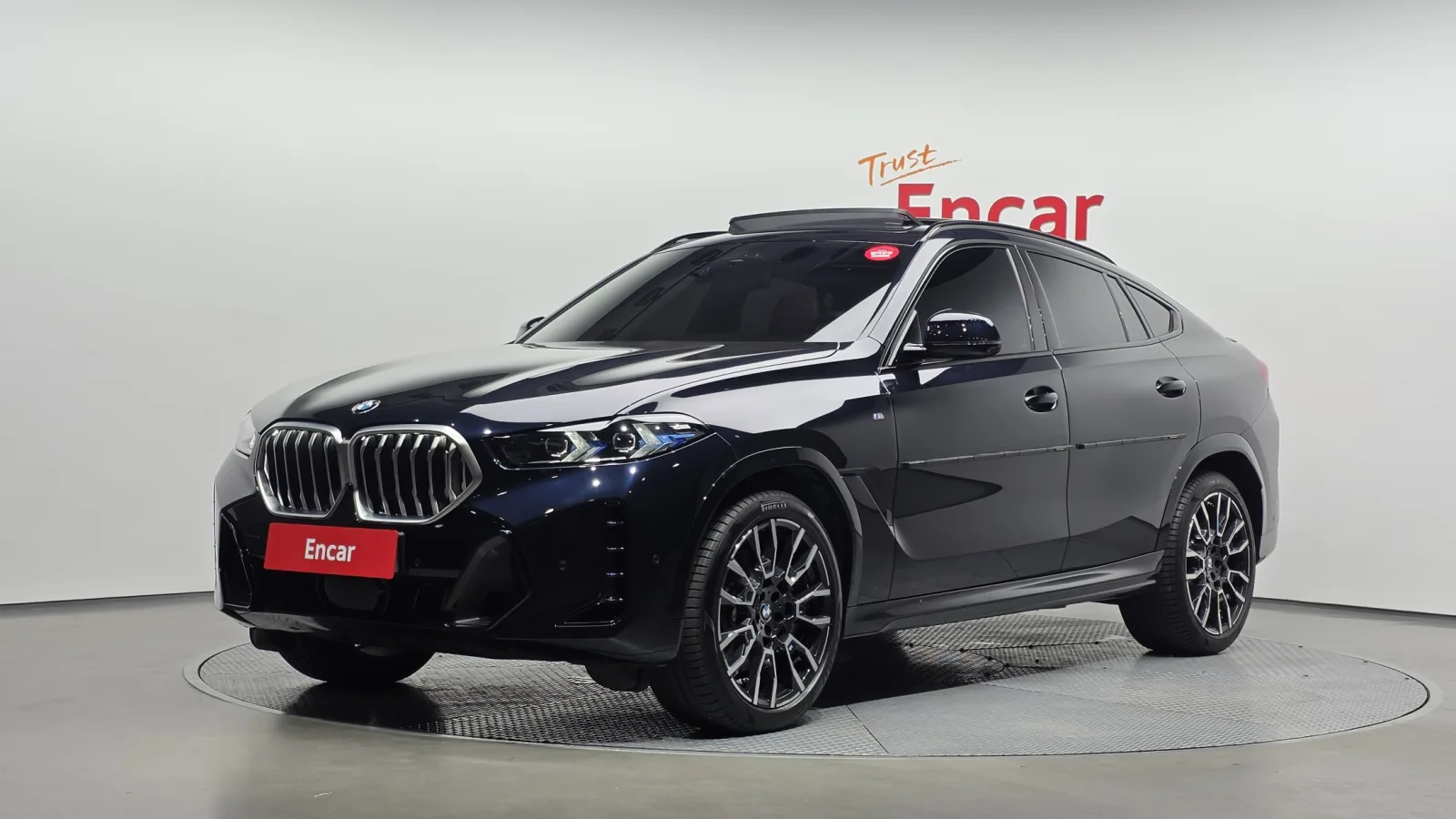 2024 BMW X6