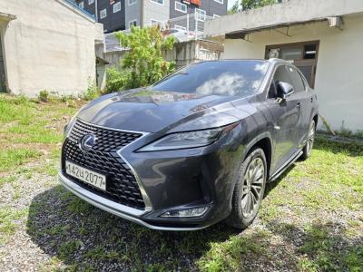 2022 Lexus RX