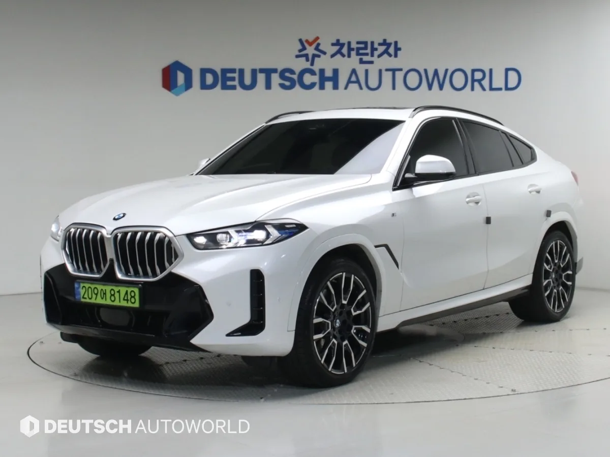 2024 BMW X6