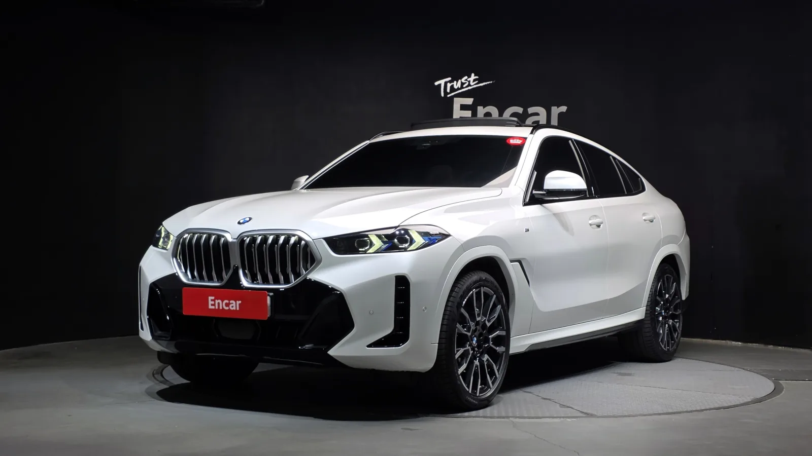 2025 BMW X6