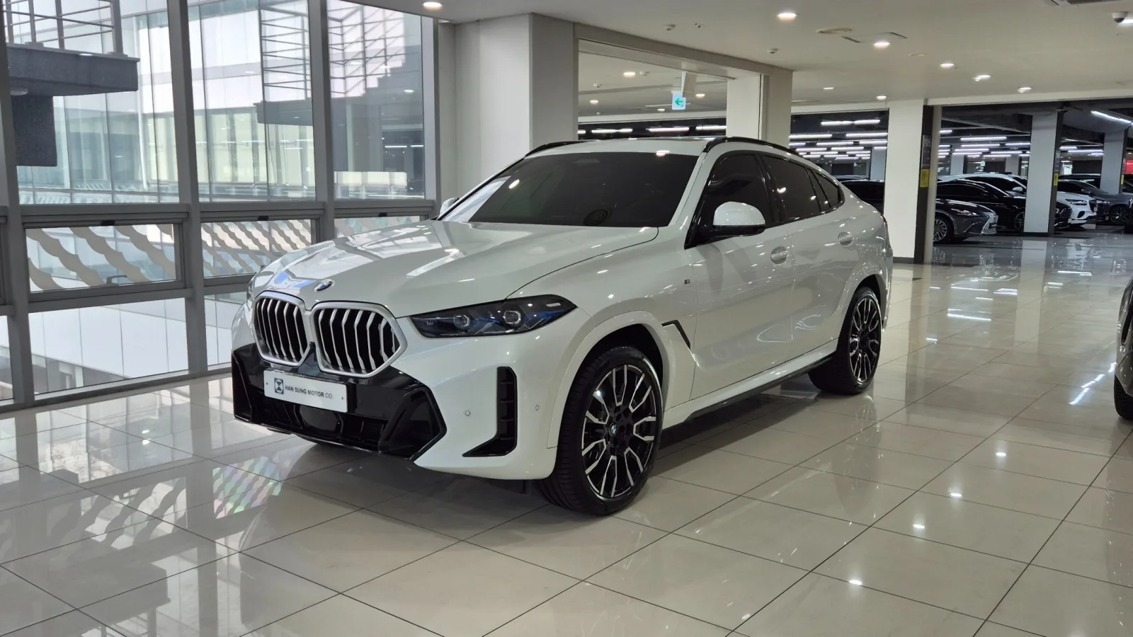 2025 BMW X6