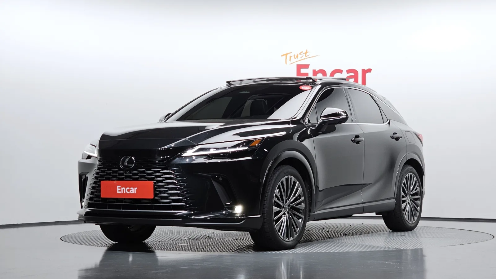 2025 Lexus RX
