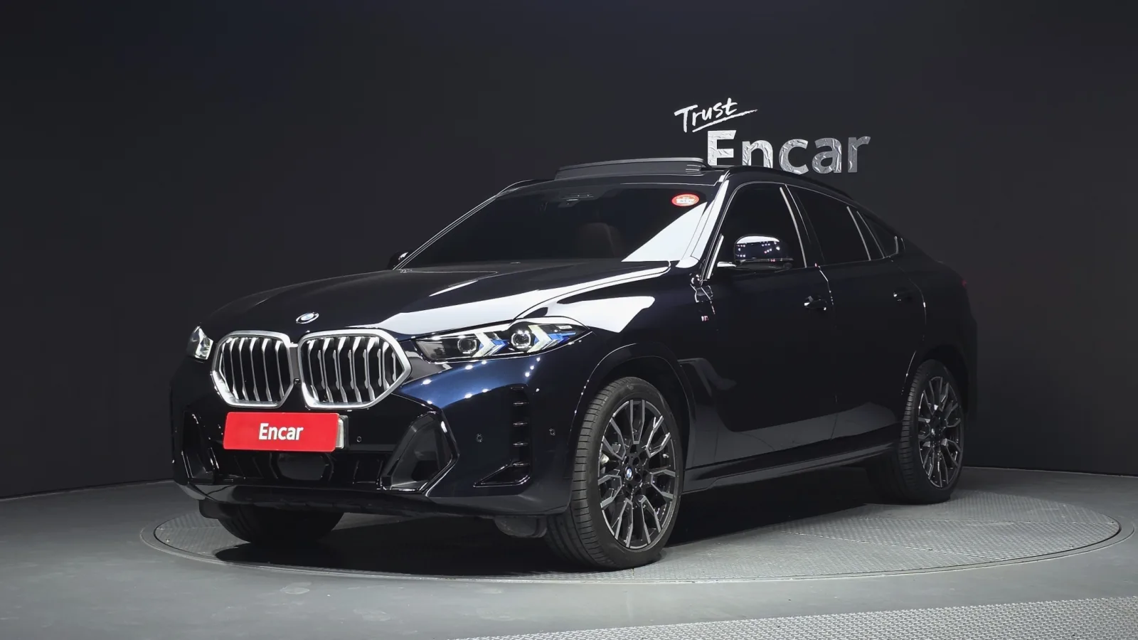 2024 BMW X6