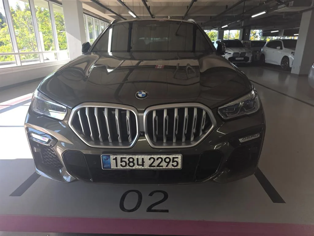 2021 BMW X6