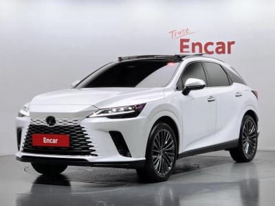 2025 Lexus RX