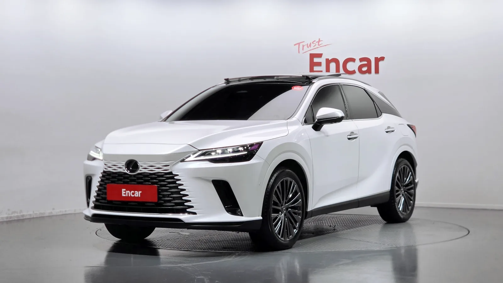 2025 Lexus RX