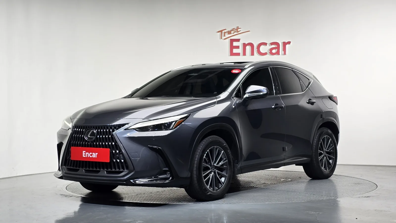 2024 Lexus NX
