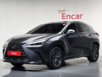 2024 Lexus NX