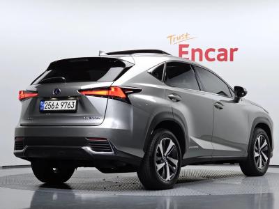 2021 Lexus NX