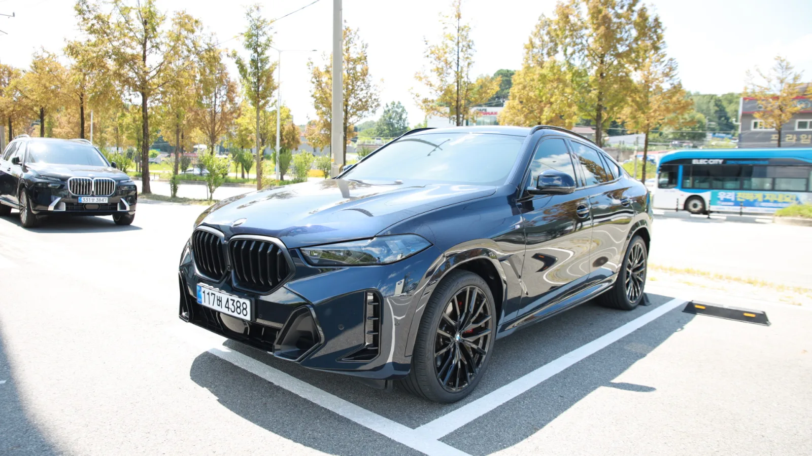 2026 BMW X6