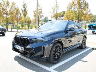2026 BMW X6