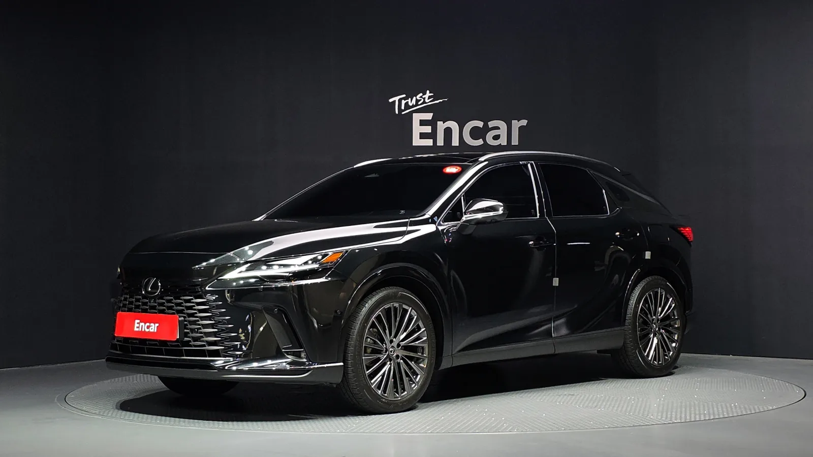 2025 Lexus RX