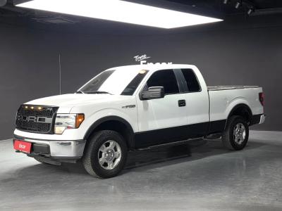 2010 Ford F150