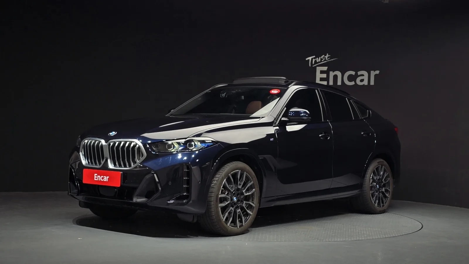 2025 BMW X6