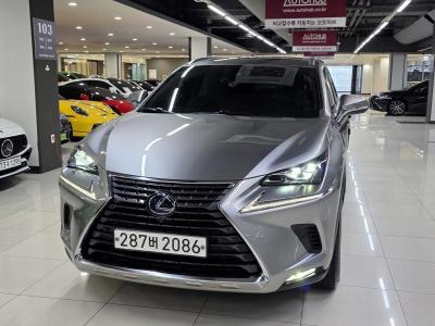 2021 Lexus NX